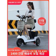 노인전동차 삼륜전기오토바이 노인전동스쿠터 삼륜전기스쿠터 전기 세발 자전거 가정 작은 숙녀 노인 노인 배터리 자동차 미니 픽업 부모 자식 접이식, 48V, [블랙] 48V 듀얼 드라이브: 12A 축전/싱글 시트