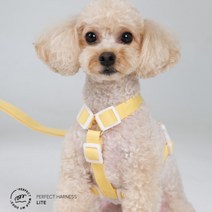 [스페이스독] 하네스 라이트 3종 H형 강아지 반려견 가슴줄, 옐로우