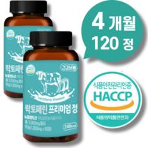 락토페린 다이어트 뱃살식약청인증 프리미엄 정 효능 식약청인증, 락토페린 120정 4개월