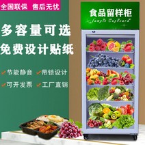 차량용 상업용의 입식 진열장 유리문 시트지 신선보존 음료수냉장고, T01-싱글도어 650x580x1970, 기본