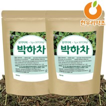 박하차 60티백 박하티 민트차 먹는법 효능, 박하차60티백