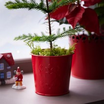 이케아 VINTERFINT 빈티지 양철 미니 화분 조화 다육이 선인장 철제 양동이 바스켓 가드닝 크리스마스