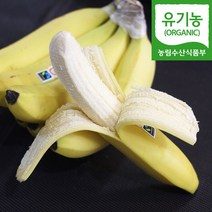 [자연마을] 유기농 인증 다이어트 과일 바나나 1.8kg 2.7kg 내외, -, 총 2.7kg