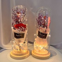 바보사랑 LED 꽃 무드등 (대) 장미 로즈데이 인테리어 조명.알사탕닷컴, LED꽃무드등(대)레드