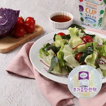 의령농산 건강채소 당일채소 당일제조 당일발송 샐러드도시락 1주일5일구성 추가증정 1팩, 양배추믹스샐러드 100g×5팩