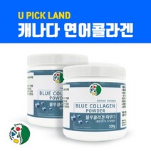 캐나다 저분자 피쉬콜라겐 가루 어린콜라겐c 펩타이드 수용성콜라겐 어류콜라겐 분말 파우더 생선비늘 1000달톤이하 연어콜라겐 먹는콜라겐 히알루론산 피부 이너뷰티 효능 직구 직수입 식약처 검사필, qnsakftm, vjFod-dlrs02