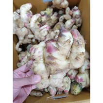 [이순자안동생강] 안동골드 진저 생강청 500ml 아기 토종 맛있는 생강청 착즙원액 에이드 진저라떼