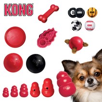 KONG 강아지 노즈워크 장난감 모음 [클래식/구디본/플라이어/워블러/줌그룸/에어스포츠/볼/로프], 워블러, 소
