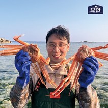 묘한 국내산 당삼 자숙 박달대게 동해안 포항 앞바다 당일 조업 산지직송, 박달대게 중 1마리