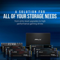 PNY CS900 1TB 3D NAND 2.5인치 SATA III 내장 SSD (SSD7CS900-1TB-RB), Sata 2.5, 2TB, Sata 2.5, 2TB