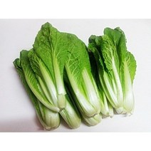 국산 국내산 산지직송 쌈채소 얼갈이 단배추 2kg 가정용 업소용