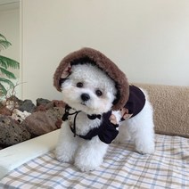 Neirny 강아지 곰돌이 멜빵 원피스 애견 봄옷 푸들 포메 시츄 말티즈 비숑 고양이옷, 블랙