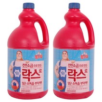 Mr.홈스타 락스로 살균소독 부탁해, 2L, 2개