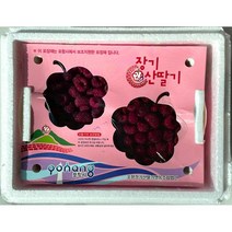 포항 산딸기 GAP 냉동 2kg 급냉 산딸기파는곳 산딸기생과, 단품