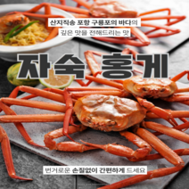 홍게 제철 자숙 대게 감동수산 박달 게 포항 죽도시장 구룡포 수율보장[선주직송], 가성비 홍게10마리