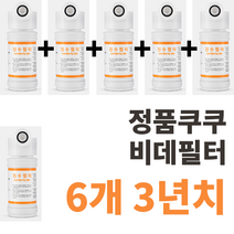 정품 쿠쿠비데필터 정품 진퉁 주황색라벨 6개 CBT-G1031W 등등, CBT-IS1031W 6개
