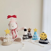 화예원 홈 파티 생일 고깔 모자, 블루