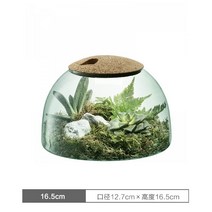 둥지형 비바리움 이끼분재 작은 파충류 꾸미기 재료 화분 홈 사막 이끼 식물 유리 마이크로 DIY, 16.5cm