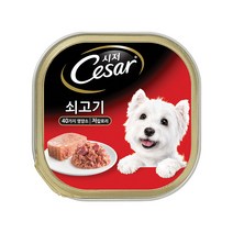 시저 반려견 주식캔, 소, 100g, 6개