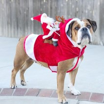 크리스마스 애완견 중형견 대형견 승마 산타의상 강아지 산타옷