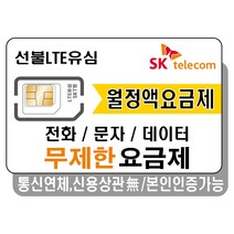 한국여행유심 SKT / KT통신망 30일 데이터전용, 30일 LTE 5GB