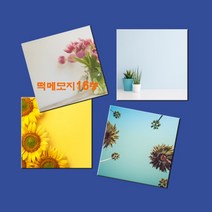 예닮 다쿠용 정사각 메모장 떡메 캐릭터메모지 귀여운메모지 예쁜메모지 칼라 대떡메 떡메모지 도안 떡메모지 제작 2권, 무지-블루