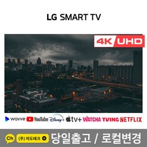 LG 43인치 TV 4K UHD 스마트 TV 43UN6955 리퍼 /빠른 배송 / 로컬변경 완료, 3. 지방권역 스탠드  HDMI 2.0
