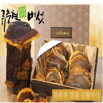 류충현약용버섯 자연산 상황버섯 베타글루칸 상황버섯물 펠리누스 린테우스 상황버섯차 상황버섯달인물 진액 즙 엑기스 추출물 무농약상황버섯 효능 먹는방법 목질진흙버섯, 300g