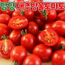 탱글탱글 대추 방울토마토 2kg(1-3번과) /2개 주문시 5kg발송, 2개