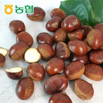 순창군조합공동사업법인 [농협] 순창 햇 알밤 특 1kg x 3팩, 1