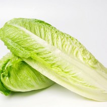 로메인 상추 로매인 통로메인 모듬쌈 쌈채소 2kg 4kg