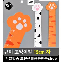 수학시간 초등학생 필수준비물 고양이 자 특이한소품 사무용품전문점 CM자, 화이트