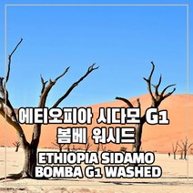 (커피생두) 12 에티오피아 봄베 G1 워시드 500g