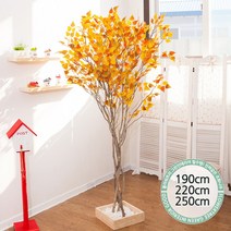 실내인테리어 인조나무 123종 / 플트 조화나무 C, C10.라인-단풍자작나무 190cmK/사방형, 1개