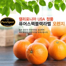 블랙라벨 고당도 퓨어스펙 오렌지 2kg 10과 내, 1개