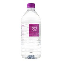 몽베스트 생수, 6개, 1L, 플라스틱병