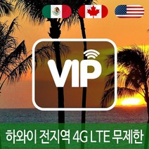VIP 하와이 4G LTE 포켓 와이파이 매일 1GB 후 저속 국내공항 수령, 매일 1GB 후 저속 1일/김포공항