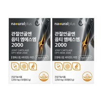 관절 연골 엔 옵티 엠에스엠 2000 식이유황 미국산 고순도 99.9% OPTI MSM, 2개, 60정