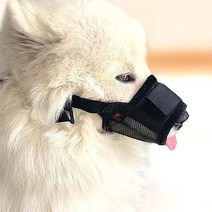할로펫 반려견 입마개 블랙, M
