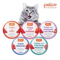 펠리코 고양이 간식캔 95g *24개, 캣 참치순살무스 캔 95g*24개