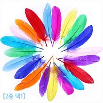 컬러 깃털 드림캐쳐만들기 DIY 거위털 취미 가공 미술 셀프 교구 부자재 방과후 초등 준비물, 1개, 대형 깃털(약 20개)