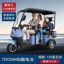 다인승 오토바이 삼륜 전동차 세발 전기 스쿠터 미니 카트 미니 노인 장애인, 60V, 1200W 72V 20A 납산 배터리