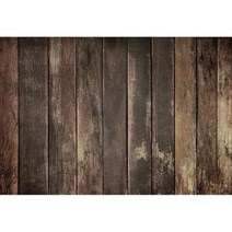 사진촬영배경지 생일 파티 배너 어린이 반려동물 동물 초상화 사진 촬영, Vinyl 60x40cm+NWH14308
