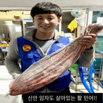 신안 임자도 민어회 (1접시~8kg), 7kg, 분리(오로시)