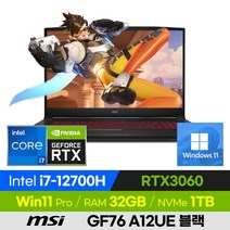 [사은품 증정!] MSI Sword GF76 A12UE 블랙 고사양 12세대 배그 롤 오버워치 17인치 게이밍 노트북 (코어i7-12700H/RTX3060), 코어i7, 1TB, 32GB, 윈도우11