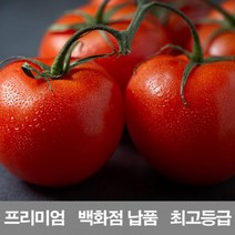 [CDS-212]영화청과 국내산 토마토 3kg 프리미엄 백화점 남품 요리 즙 키우기 재배, 본상품