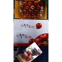 봉화사과부사(미안마) 5kg10kg, 5kg(15~17과)