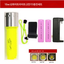 LED 전문 스쿠버다이빙 랜턴 수중 물고기 잡기 초광방수 하이빔 아웃도어 가정용 충전 조명등, L2 모델 2 전기 1 충전