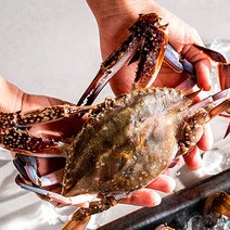 봄꽃게철 꽃게철 국내산손질절단꽃게600g, 국내산 절단꽃게 300g *2팩