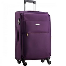 댄디 퍼스트 CT125 화물용 소프트 캐리어